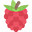 Ahududu